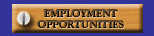 employment opportunities button