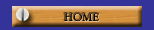 home button